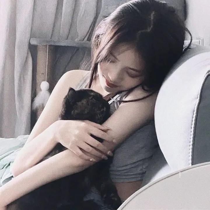 诺姆·麦克唐纳:毫无特别