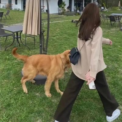歌女怀春